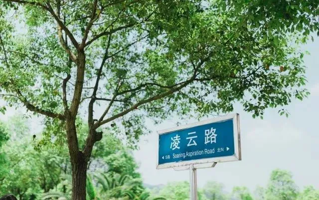 篮球运球训练心得体会范文怎么写_2